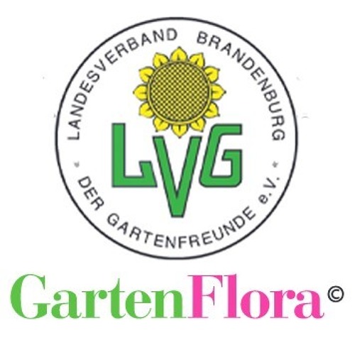 Verbandsinformationen Brandenburger GartenFlora 05/2024